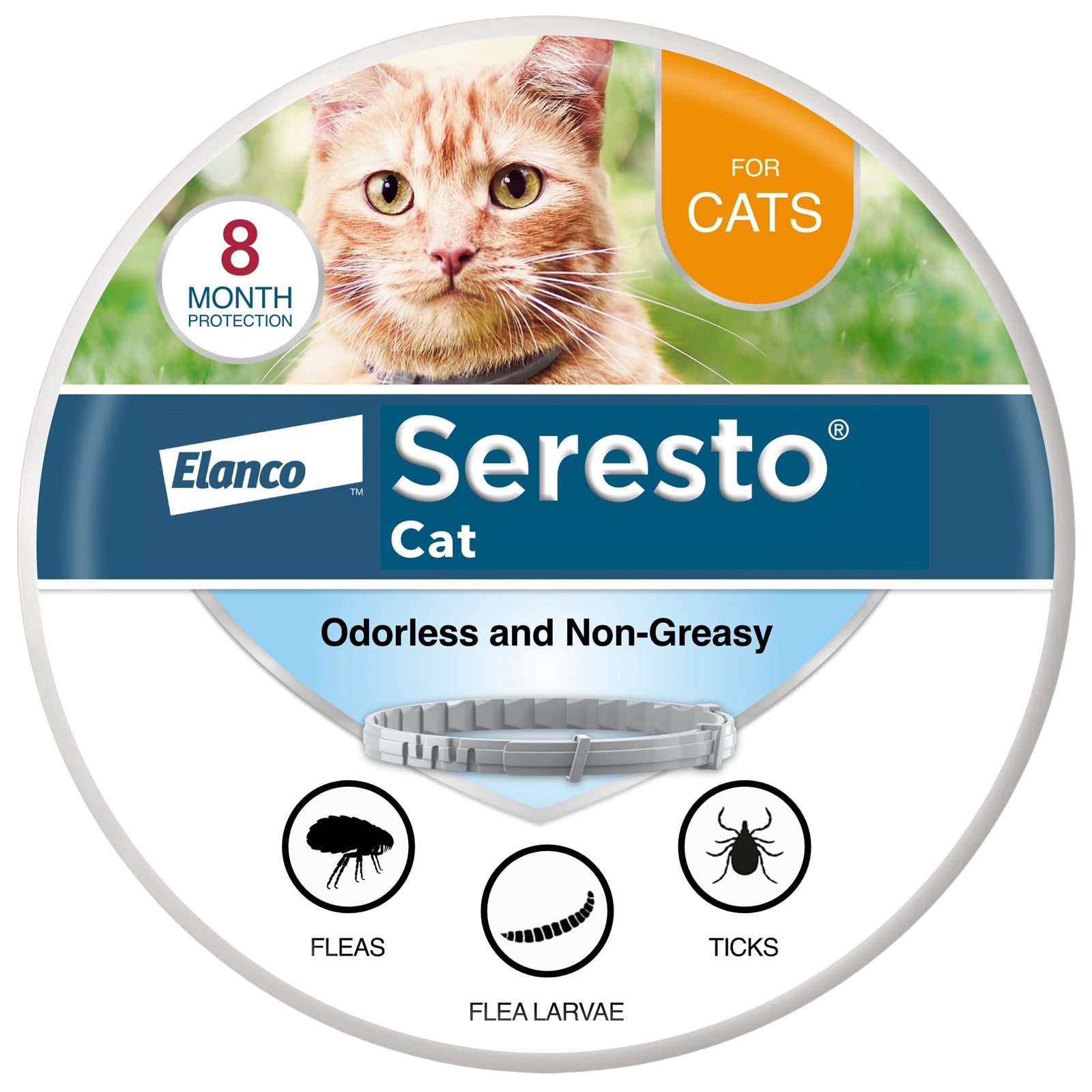 Flea and tick collar option for cats and kittens