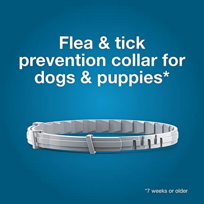 Seresto Flea & Tick Collar for Dogs, Long-Lasting Protection