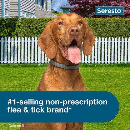 Seresto Flea & Tick Collar for Dogs, Long-Lasting Protection