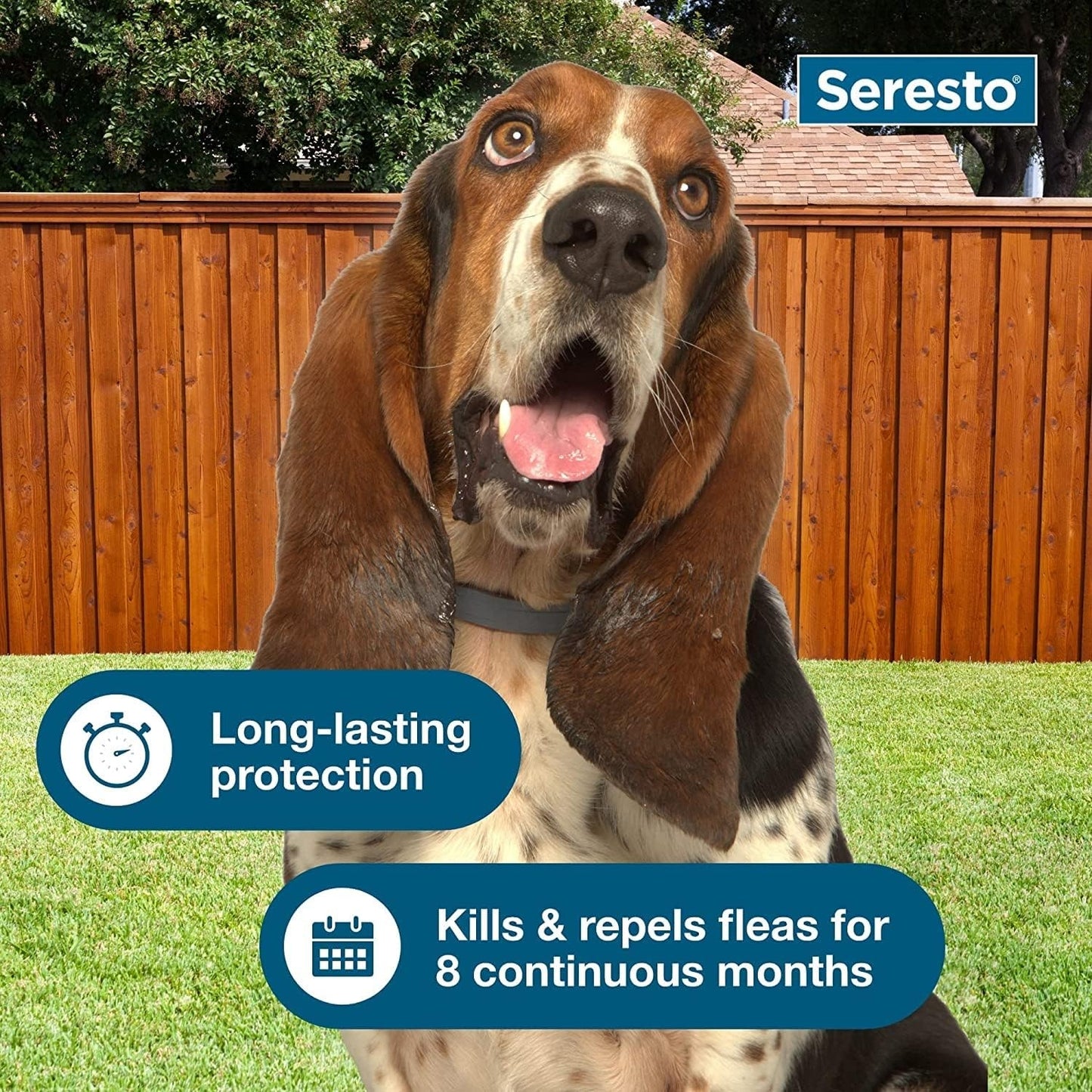 Seresto Flea & Tick Collar for Dogs, Long-Lasting Protection