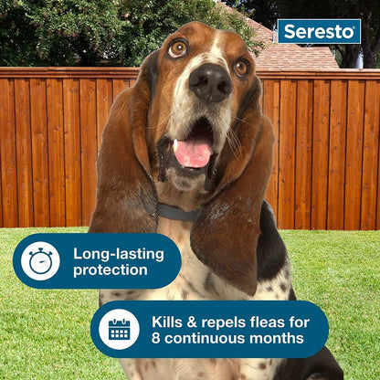 Seresto Flea & Tick Collar for Dogs, Long-Lasting Protection