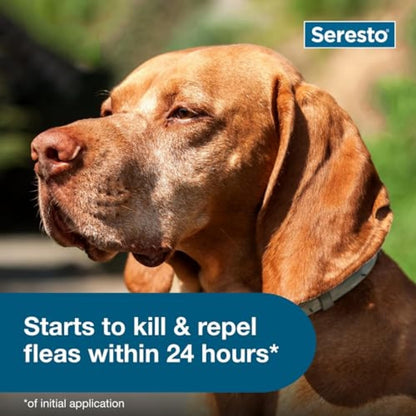 Seresto Flea & Tick Collar for Dogs, Long-Lasting Protection